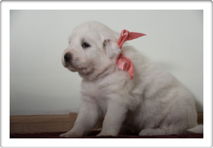 Capture One Session0296